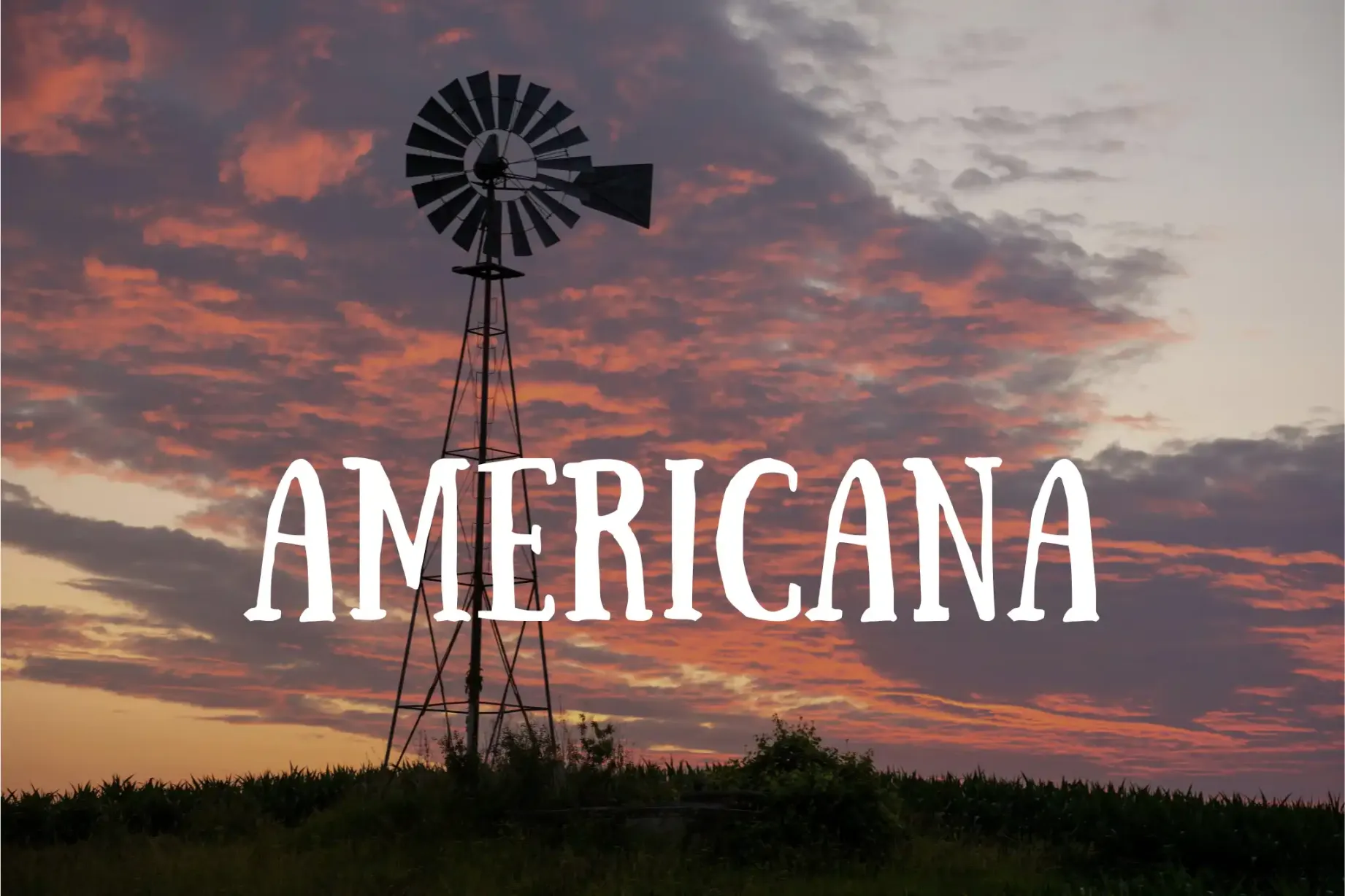 Staff Playlists - Americana